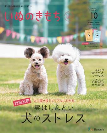 愛犬との暮らしをもっと楽しむ　いぬのきもち　2024年10月号