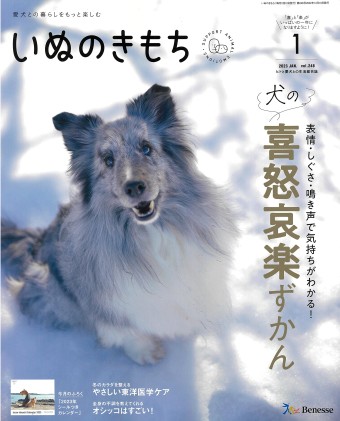 いぬのきもち 2023年1月号｜株式会社シーオーツー