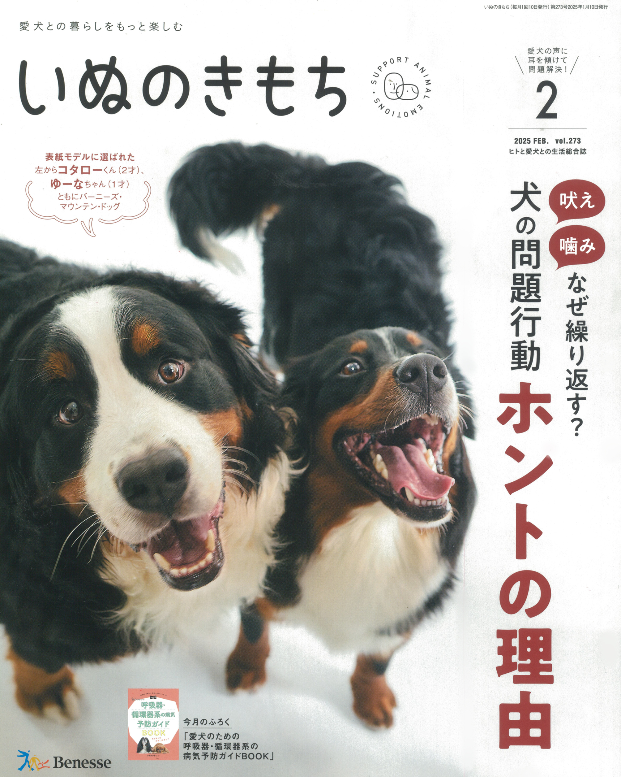 愛犬との暮らしをもっと楽しむ　いぬのきもち　2025年2月号