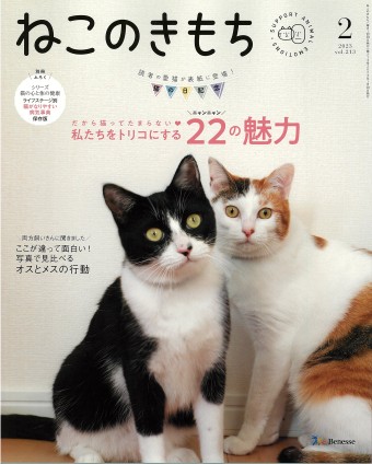 ねこのきもち 2023年2月号｜株式会社シーオーツー